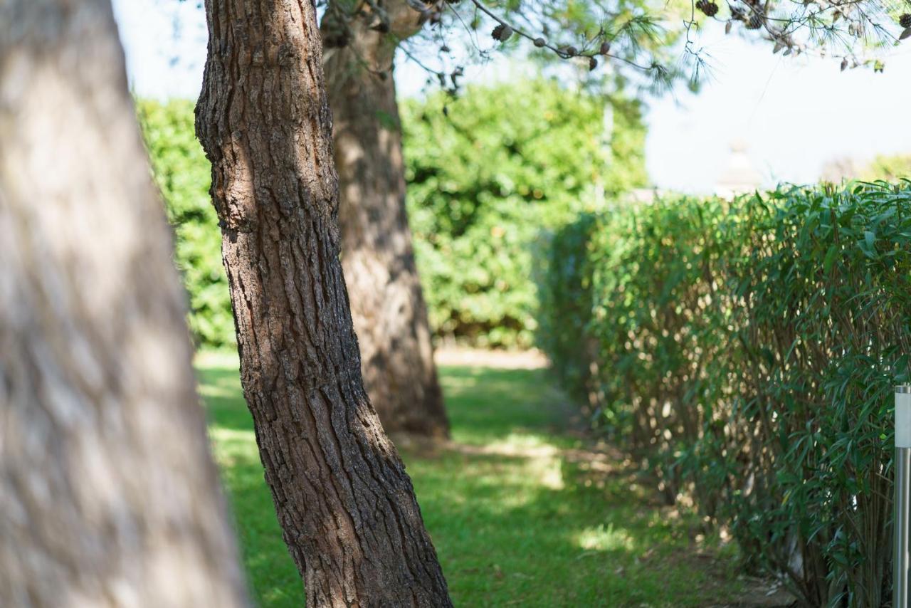 Agriturismo Serafina โอตรันโต ภายนอก รูปภาพ
